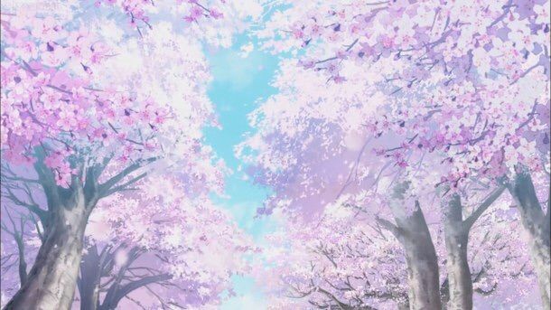 A Blog About Trees | Anime Amino