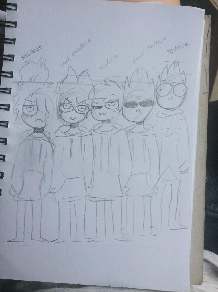 Eddsworld Height Chart