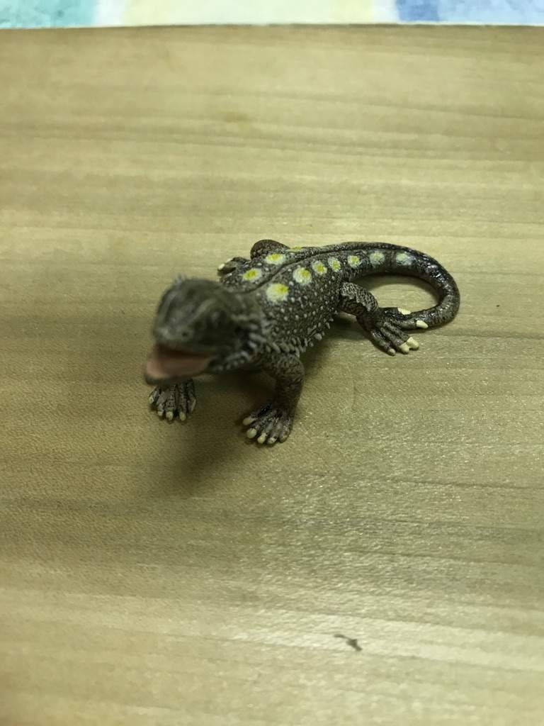 schleich bearded dragon