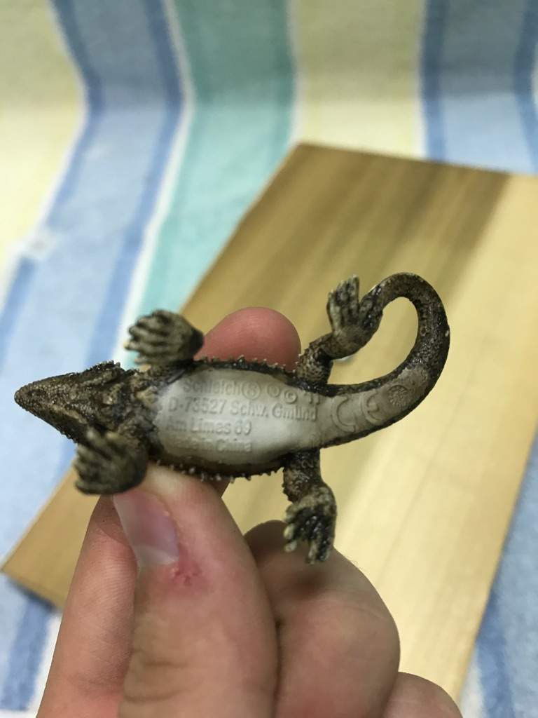 schleich bearded dragon