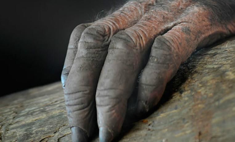 La Mano Peluda | CREEPYPASTAS AMINO. Amino