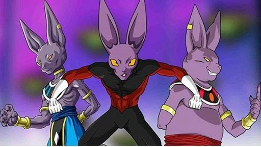 Space Cats (Beerus' Race) | Anime Amino