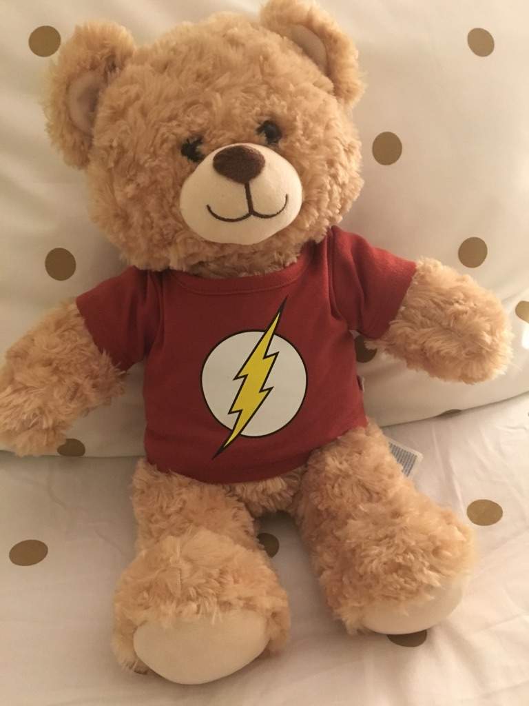 the flash teddy bear