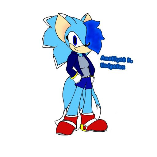 Amethyst K. Hedgefox | Wiki | Sonic the Hedgehog! Amino