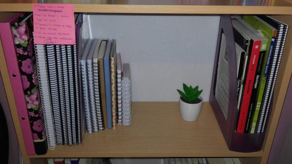 Bookcase Organization! Studying Amino Amino