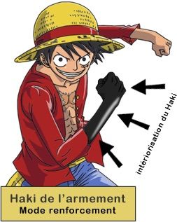 Le Haki Wiki Anime Et Manga Amino