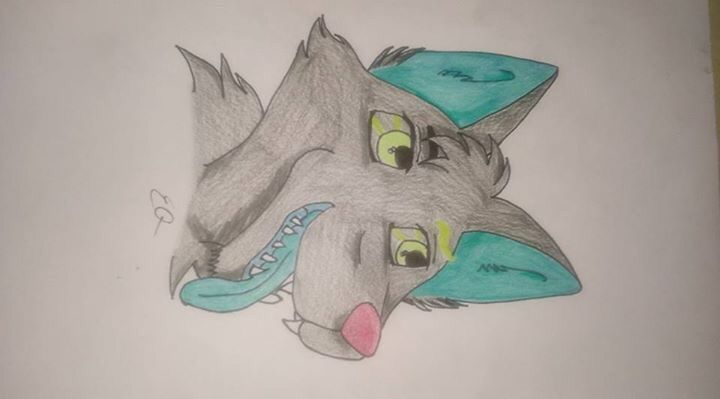 Vortex Wolf(taken) | Furry Amino