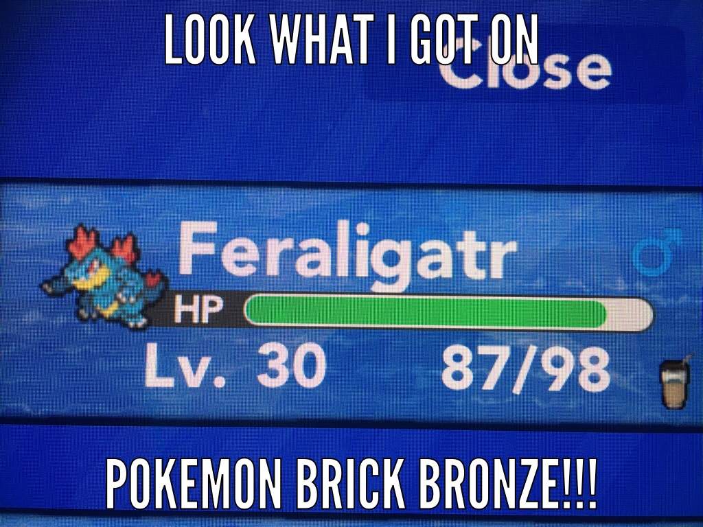 How To Get Ditto In Pokemon Brick Bronze