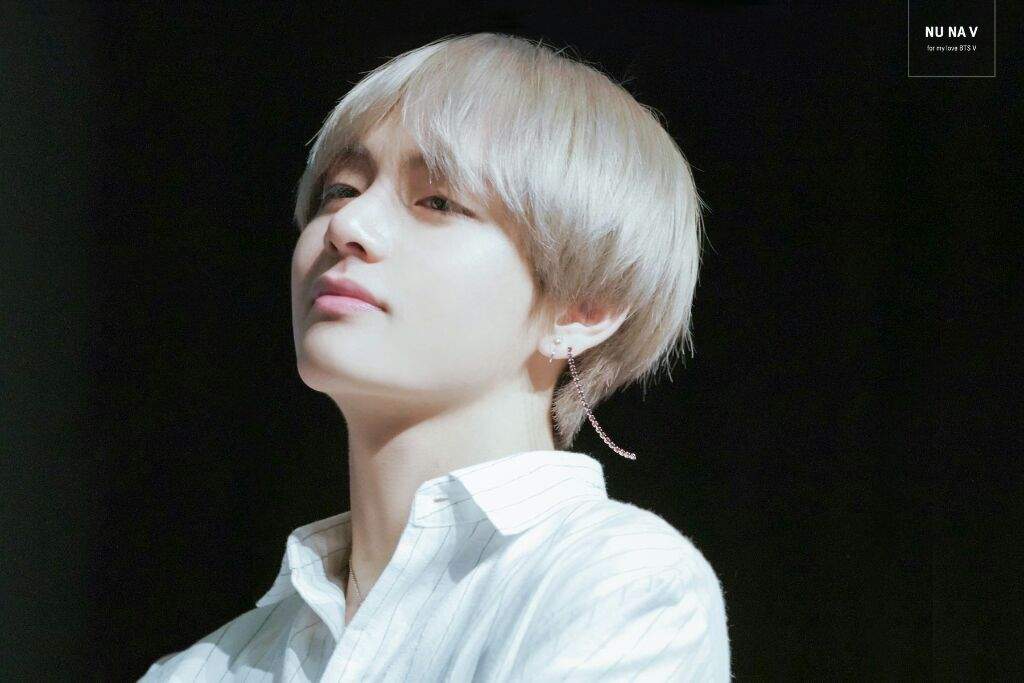 taehyung polo