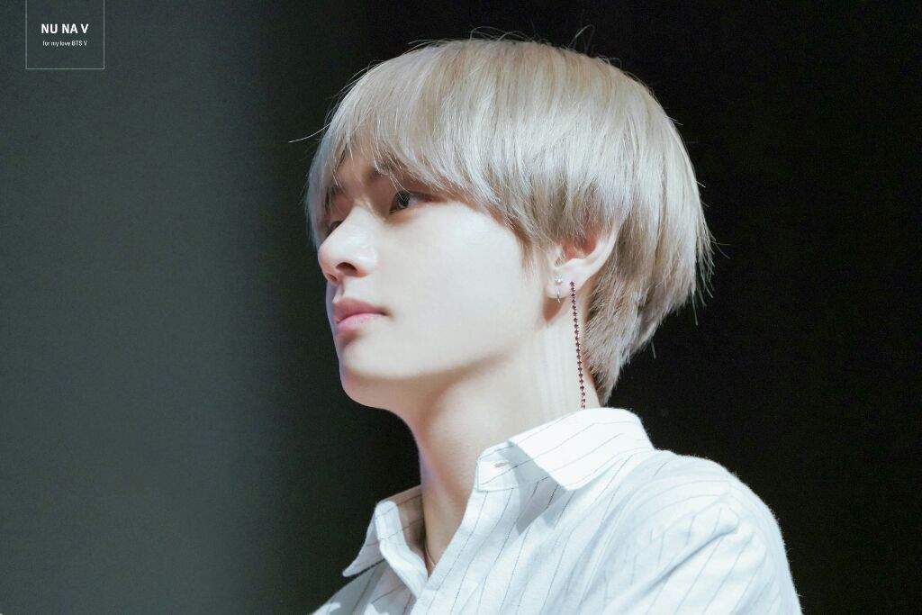 taehyung polo