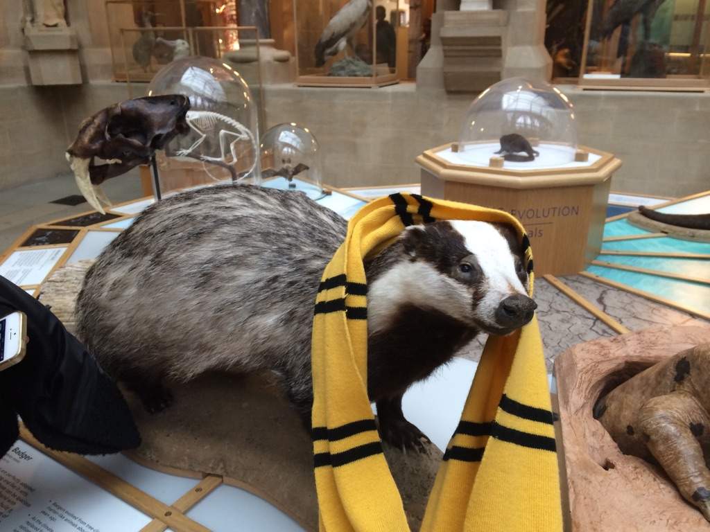 hufflepuff stuffed animal