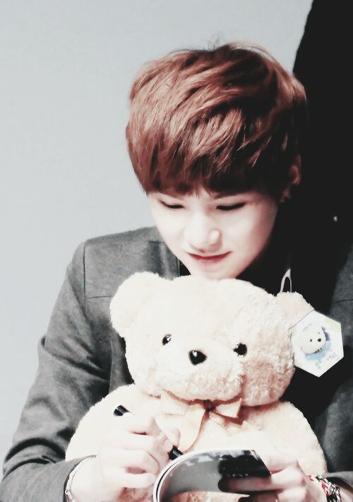 bts teddy bear price