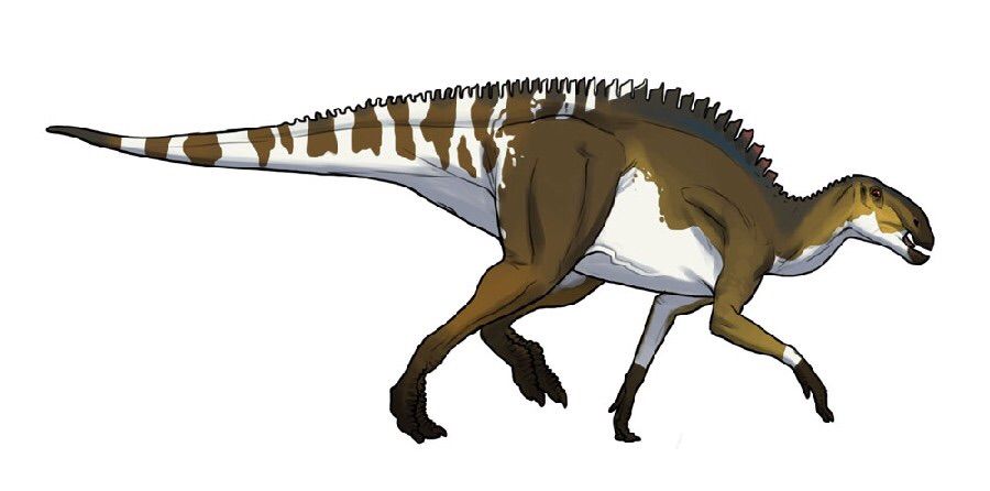 Brachylophosaurus | Wiki | Dinosaur Lovers Amino