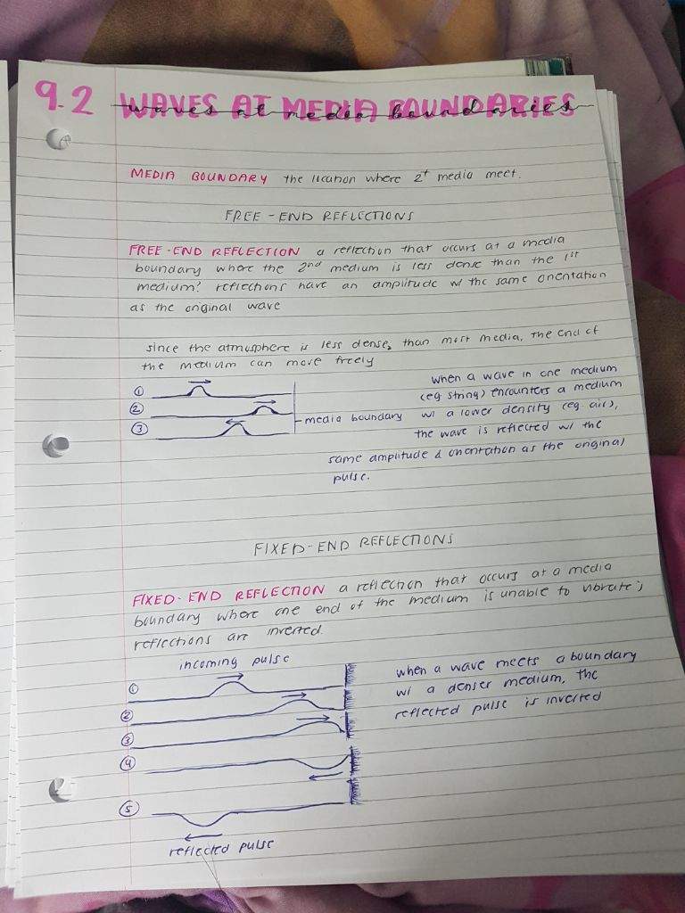 ISU notes | Studying Amino Amino