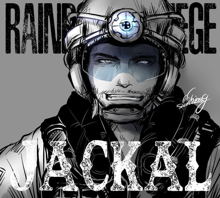 Jackal rainbow six siege гайд