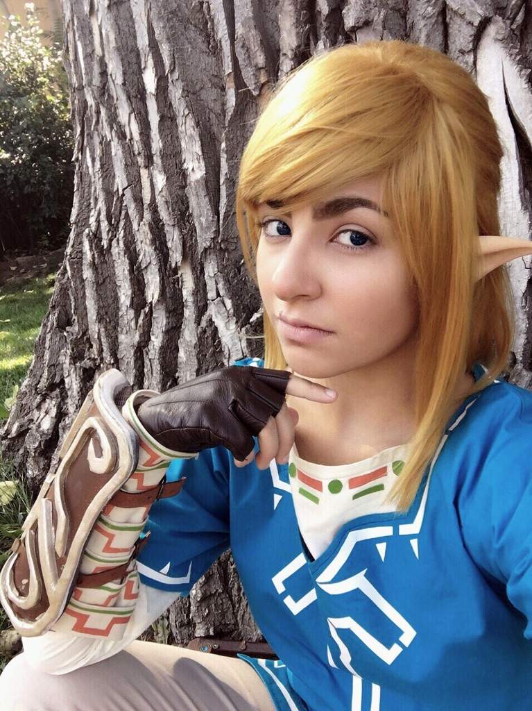 BotW- Chamption Tunic Link | Cosplay Amino