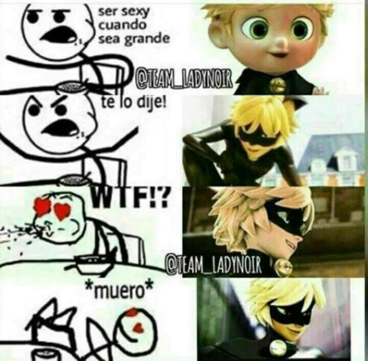 Memes •miraculous Ladybug Español• Amino