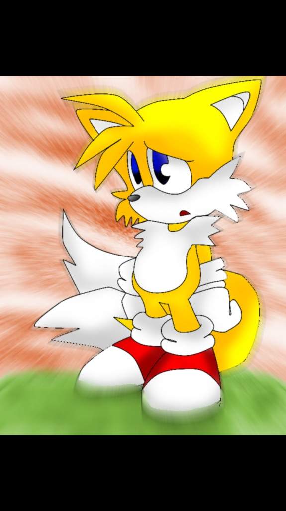 TailsFan109 Sonic The Hedg