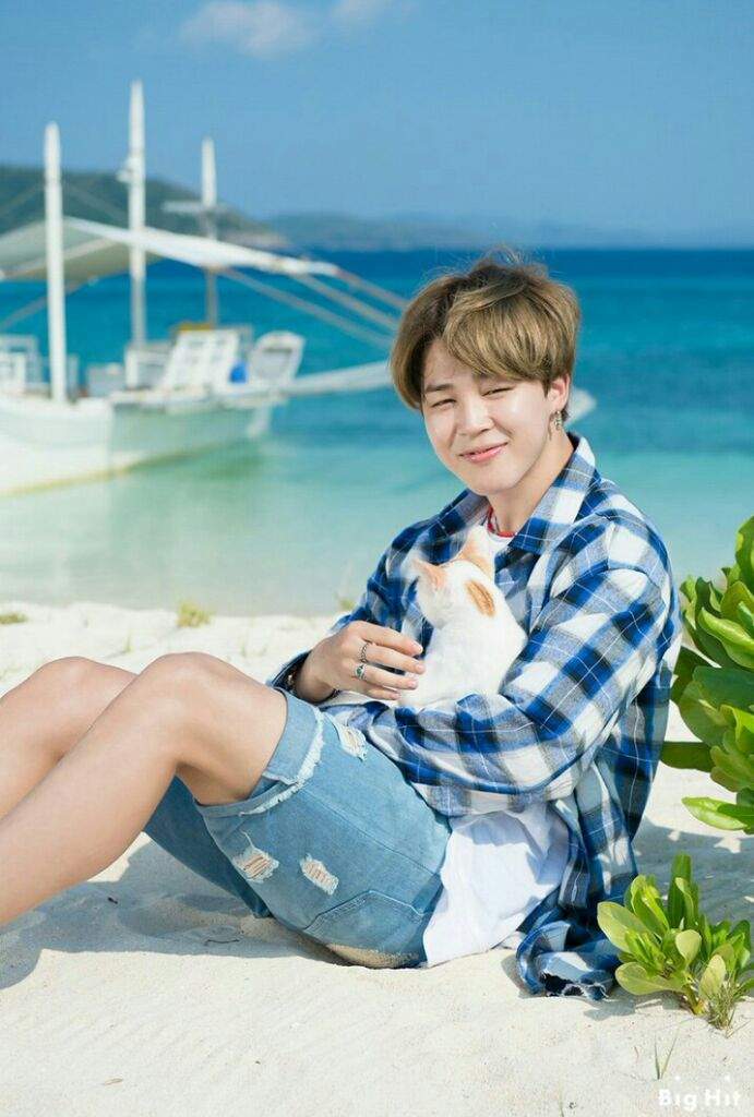 SWIM!BTS [Pt.01] Bitch?Beach!🌊 | BTS Styles Amino