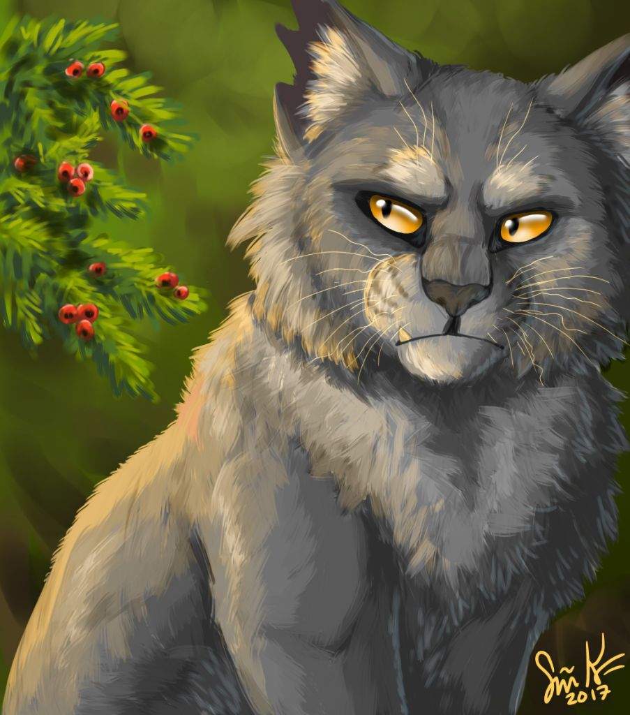 ibispaint drawing tablet