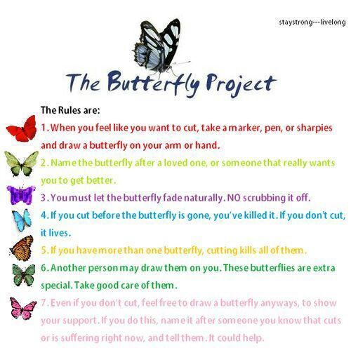 Butterfly Project? ♡ | Self Harm Support Group Amino