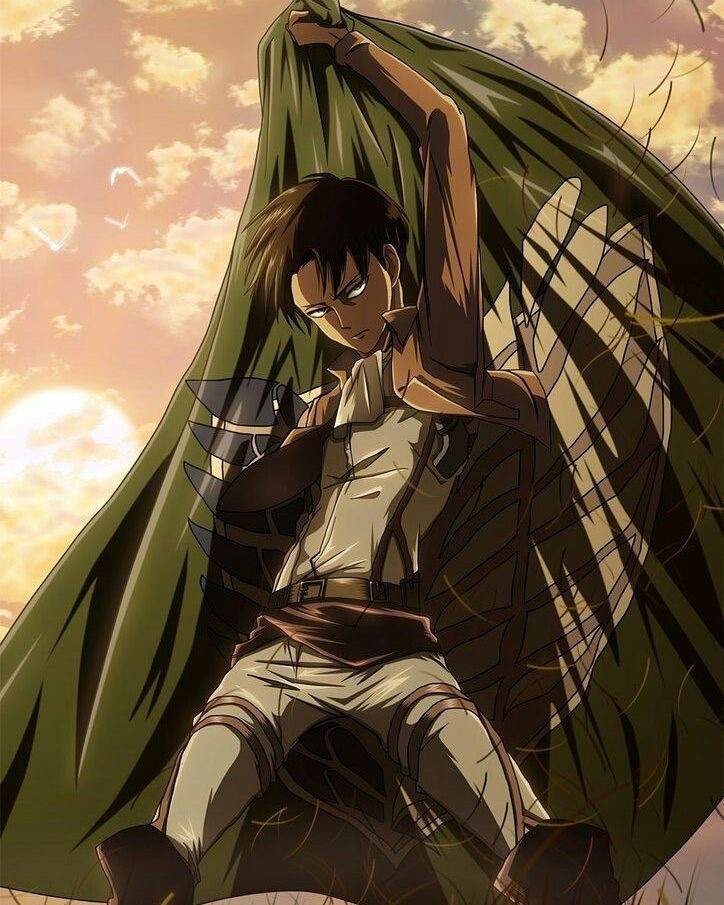 Levi Ackerman | Wiki | •Anime• Amino