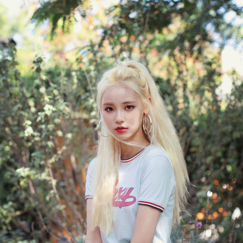 LOONA/Odd Eye Circle | Wiki | K-Pop Amino