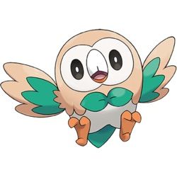 Hooded Rowlet | Pokémon Amino