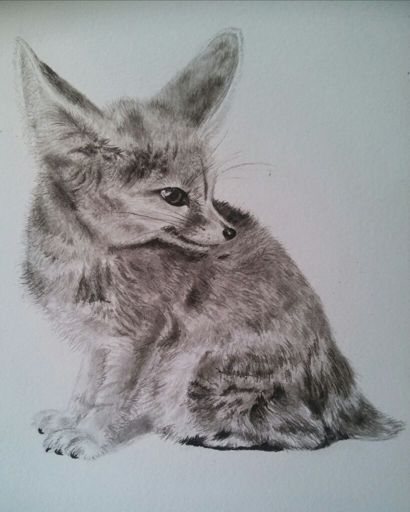 F as in Fennek (Fennec fox) | Art Amino