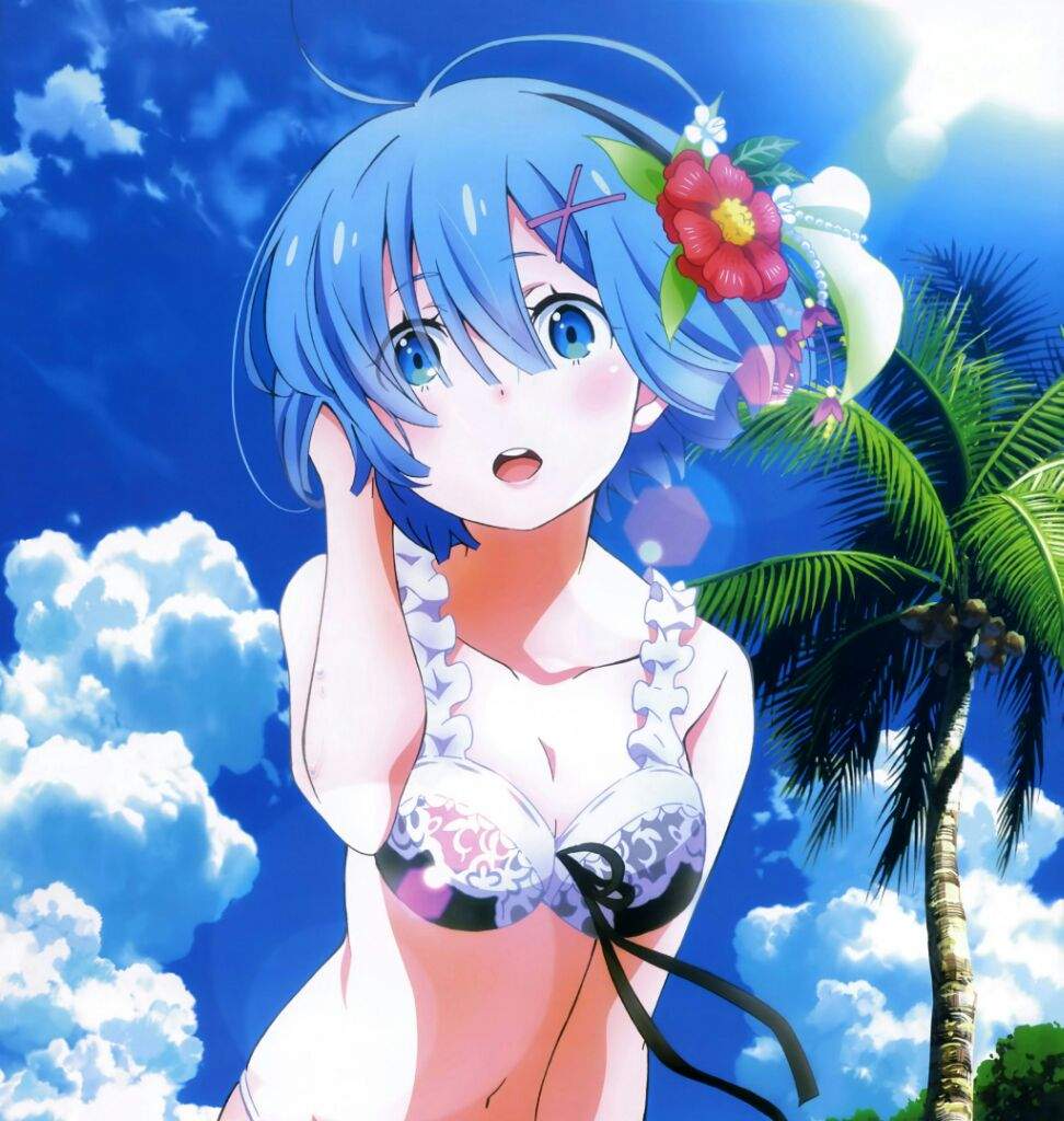 rem swimsuit