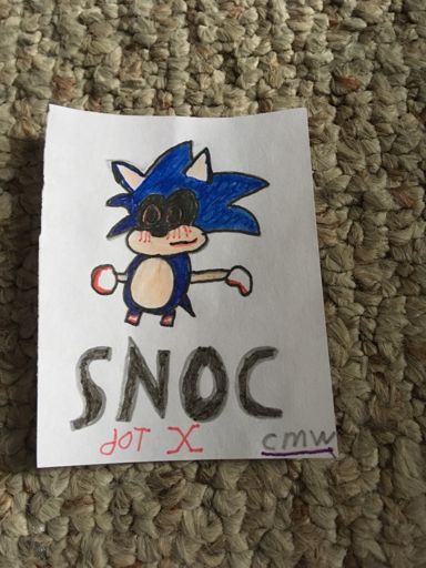 S L I V E R T H E C A R D B O A R D Sonic The Hedgehog Amino - true hyper sonic roblox