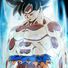 amino-Son Gohan-252e0323