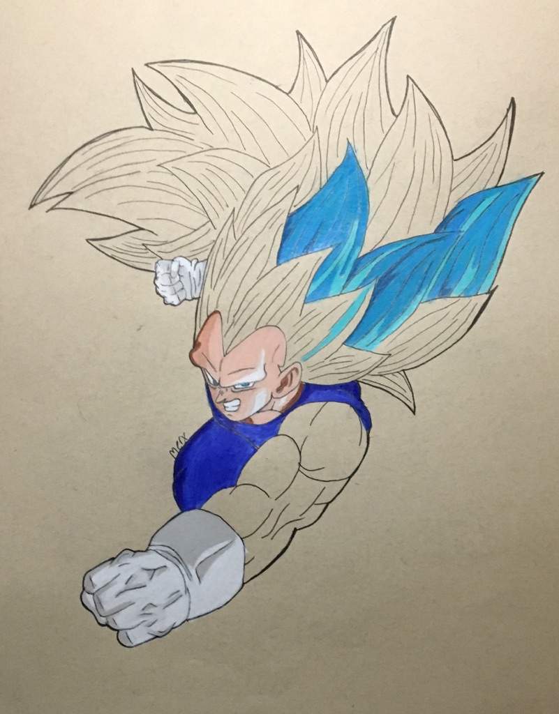 vegeta ssj3 blue