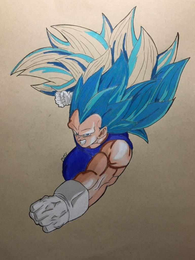 vegeta ssj3 blue