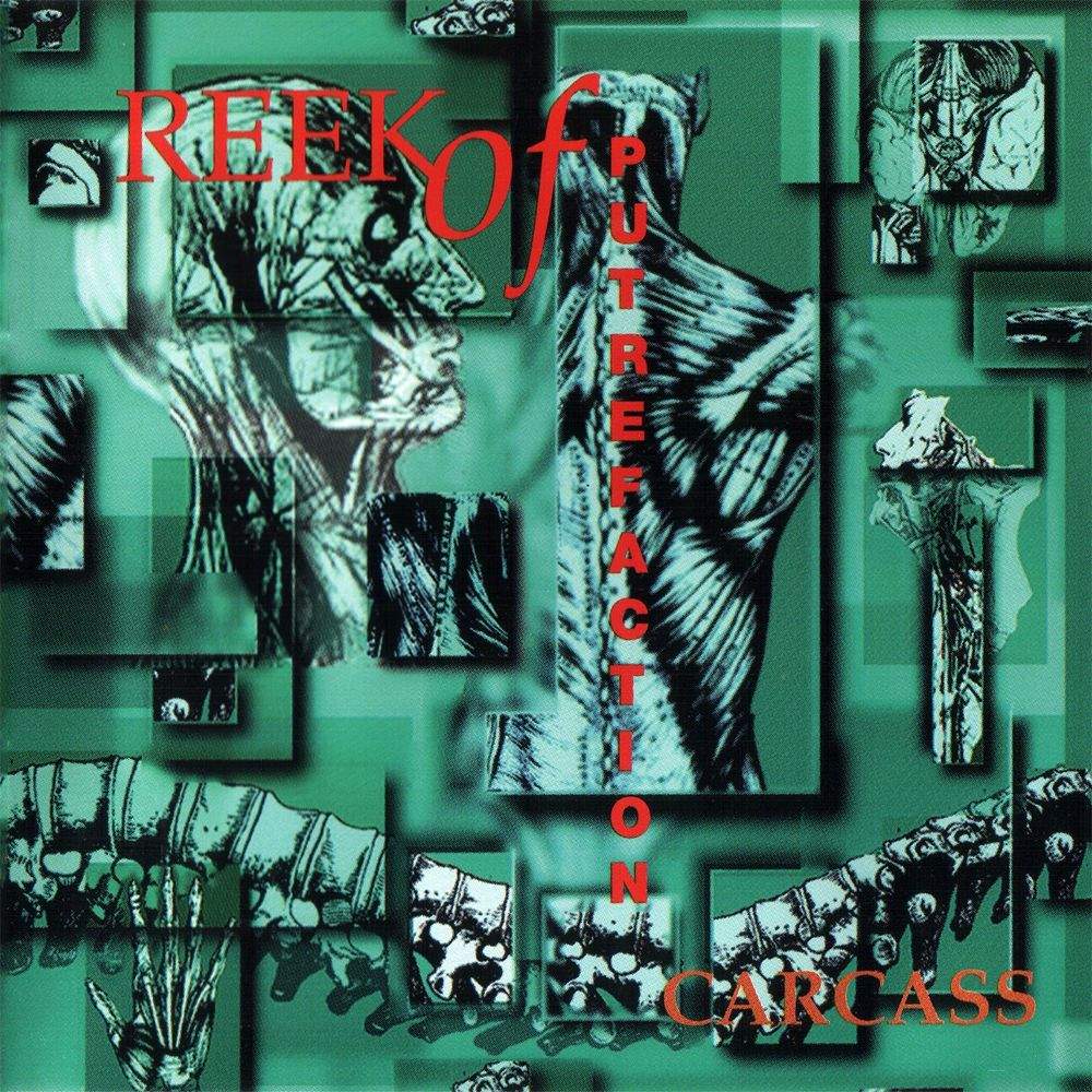 Ranking Carcass Albums From Worst To Best Metal Amino