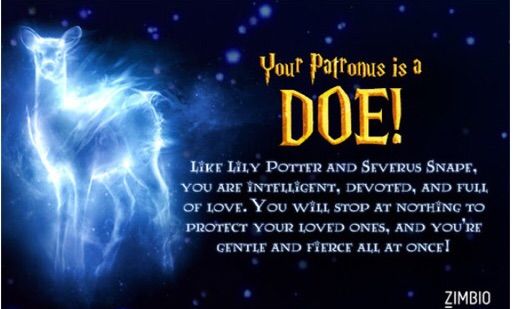 Patronus Quiz Harry Potter Amino