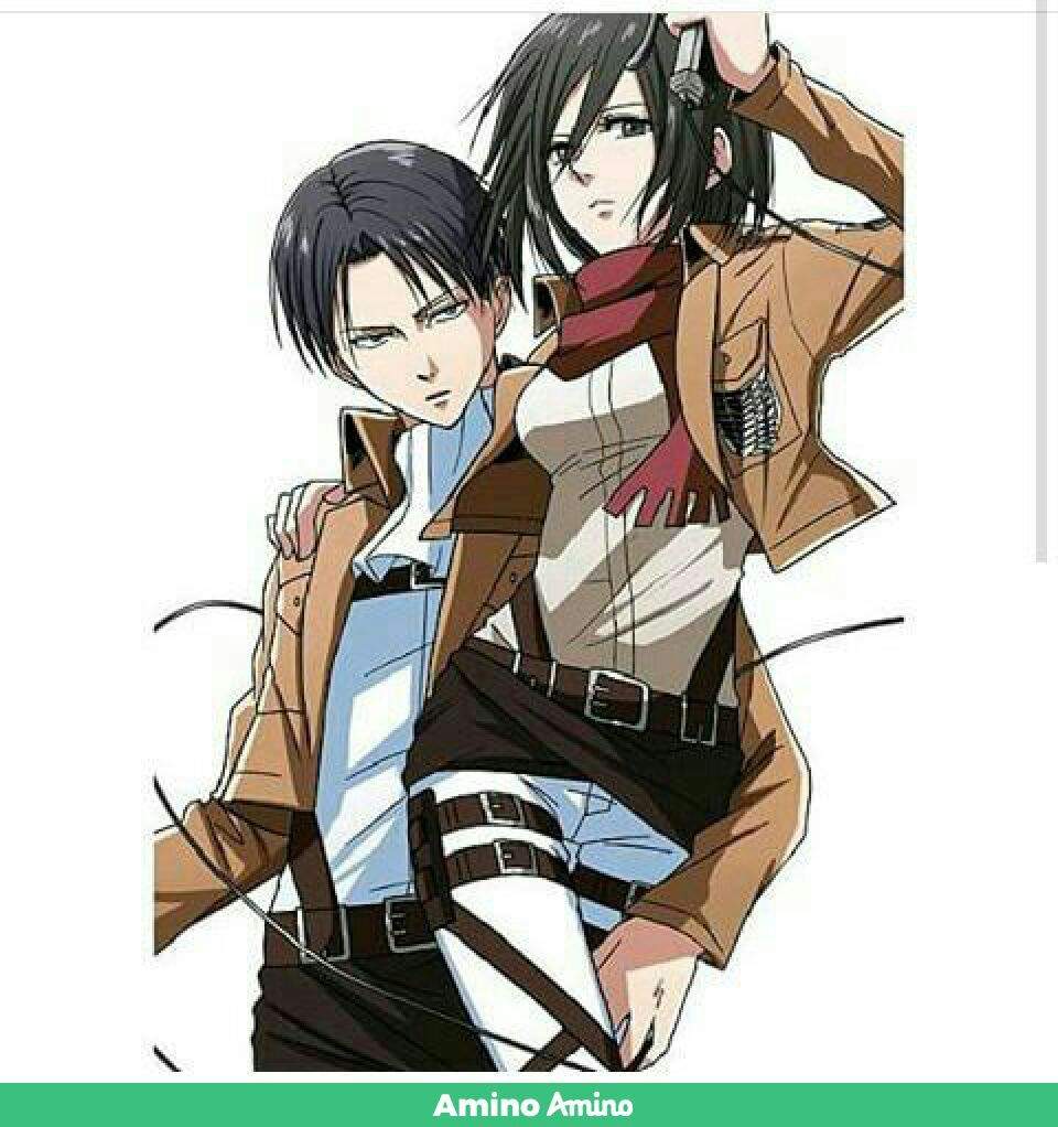 Levi e mikassa | Wiki | Shingeki No Kyojin Brasil™ Amino