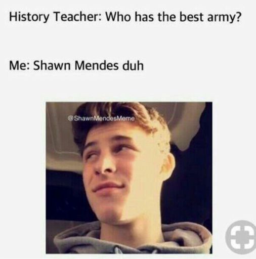 Shawn Mendes Meme | shawn mendes army Amino