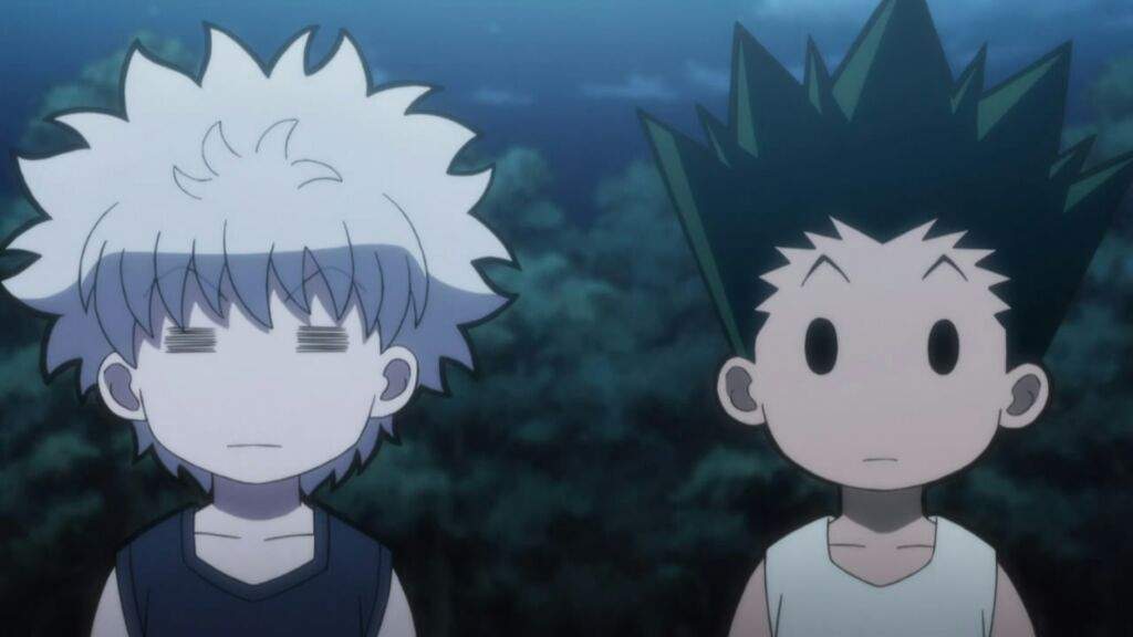 HxH: A Review 