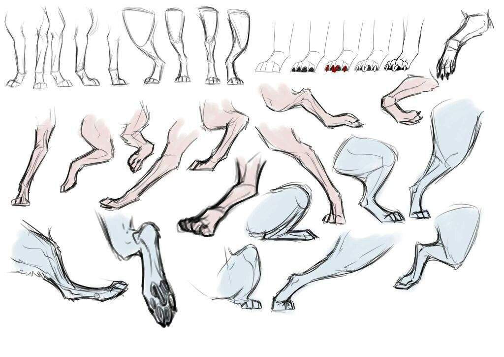 animal pose reference