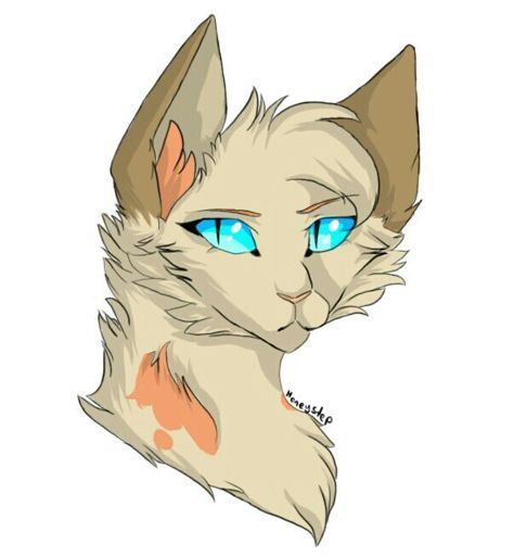 •Honey• | Wiki | Deutsche Warrior Cats-Krieger Amino