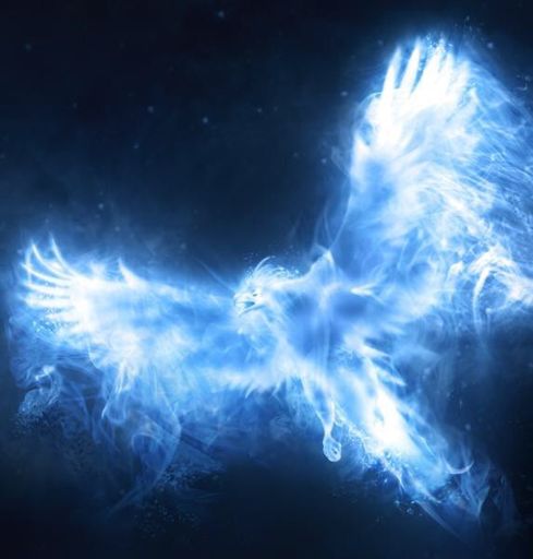 Phoenix (Patronus) | Wiki | Harry Potter Amino
