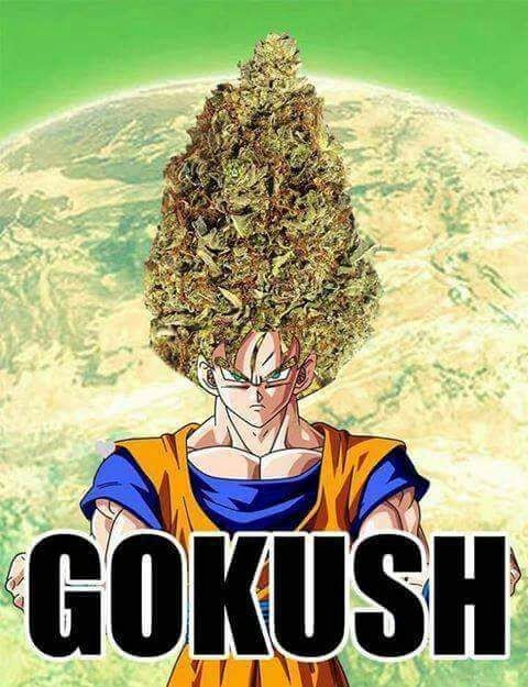 GOKUSH (WEED VERSION ) | Anime Amino