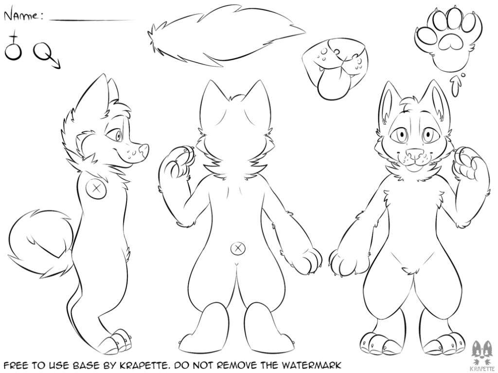 FREE TO USE Reference sheet canine.