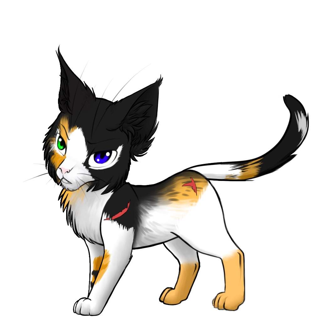 SunWing | Wiki | Warrior cats rivals Amino