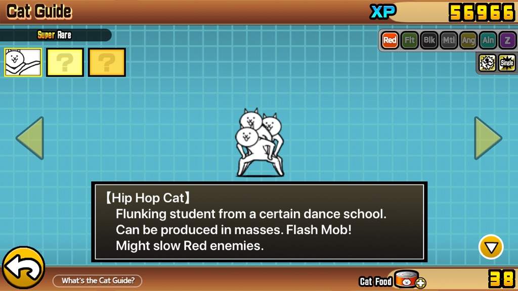 Hip hop cat.