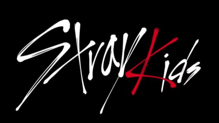 ʚ~Introducing: Stray Kids~ɞ | K-Pop Amino