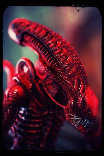 red xenomorph queen