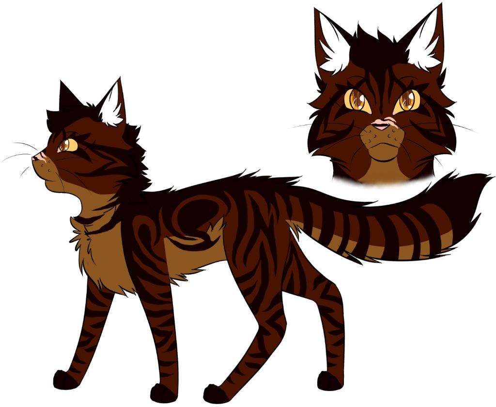 Скины в warrior cats. Идеи для скинов коты Воители. Идеи для скинов в Warrior Cats. Warrior Cats скины. Коты Воители скины.