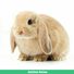 amino-[BIO]✿Sra.Rabbit✿-954b496e